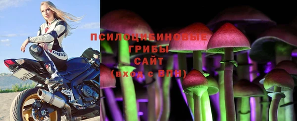 винт Новодвинск
