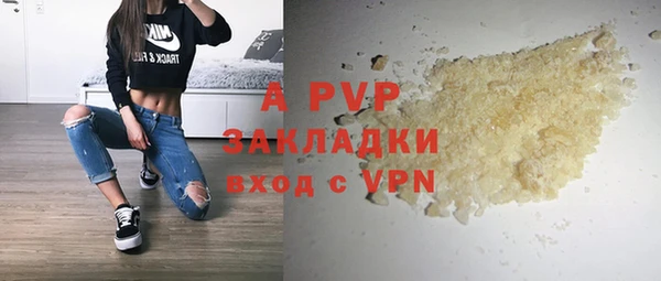 PSILOCYBIN Новозыбков