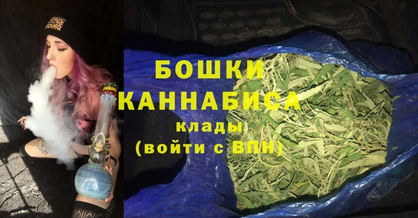 PSILOCYBIN Новозыбков