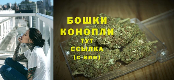 PSILOCYBIN Новозыбков