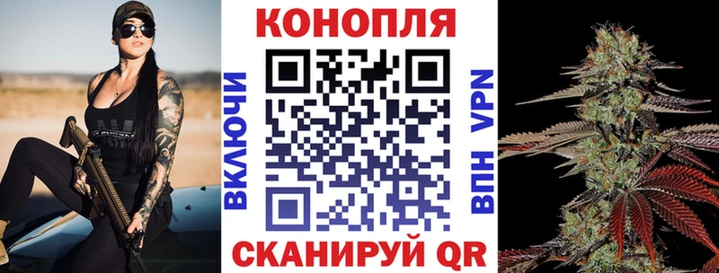 MEGA маркетплейс  где купить   Тайга  Бошки Шишки конопля 
